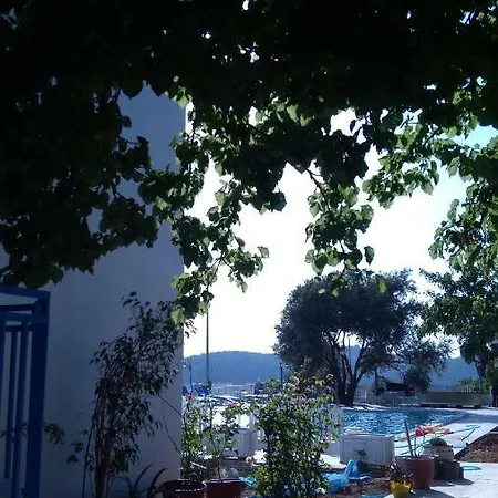 Отель Sunocean