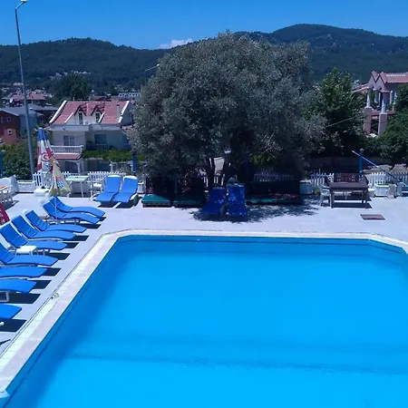 Отель Sunocean 2*
